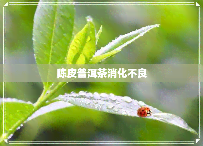 陈皮普洱茶消化不良