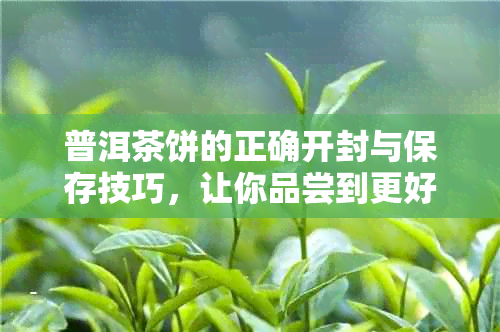 普洱茶饼的正确开封与保存技巧，让你品尝到更好的生茶口感