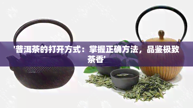 '普洱茶的打开方式：掌握正确方法，品鉴极致茶香'