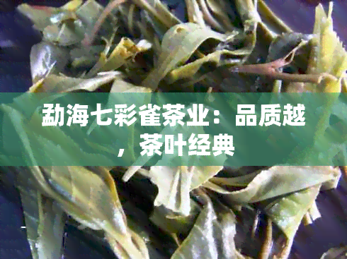 勐海七彩雀茶业：品质越，茶叶经典