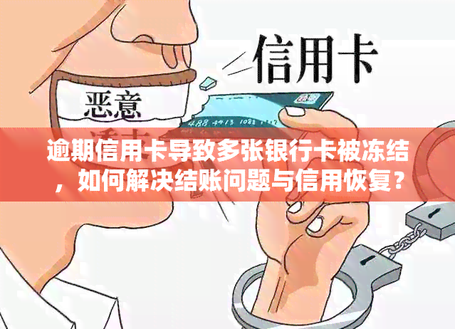 逾期信用卡导致多张银行卡被冻结，如何解决结账问题与信用恢复？