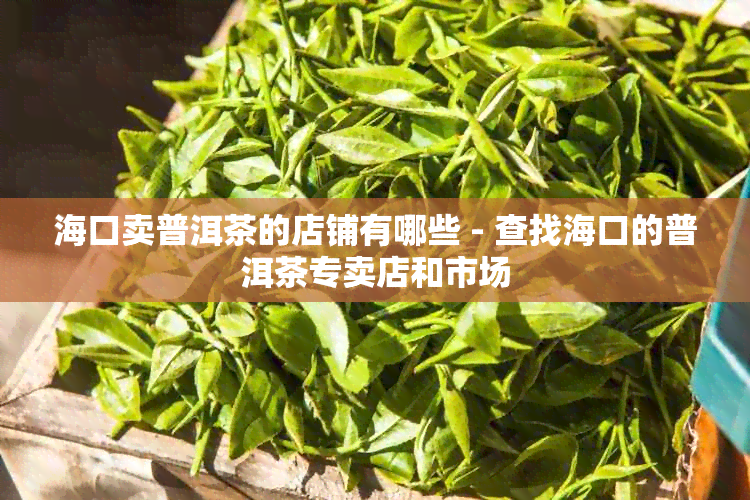 海口卖普洱茶的店铺有哪些 - 查找海口的普洱茶专卖店和市场