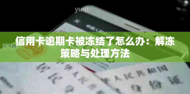 信用卡逾期卡被冻结了怎么办：解冻策略与处理方法