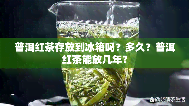 普洱红茶存放到冰箱吗？多久？普洱红茶能放几年？