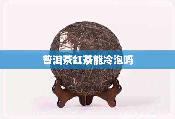 普洱茶红茶能冷泡吗