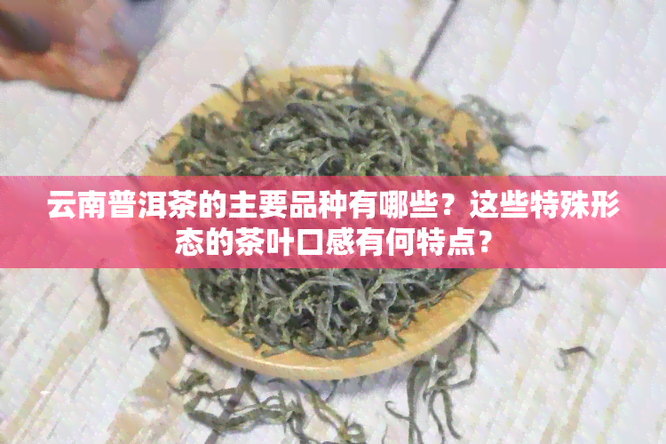 云南普洱茶的主要品种有哪些？这些特殊形态的茶叶口感有何特点？