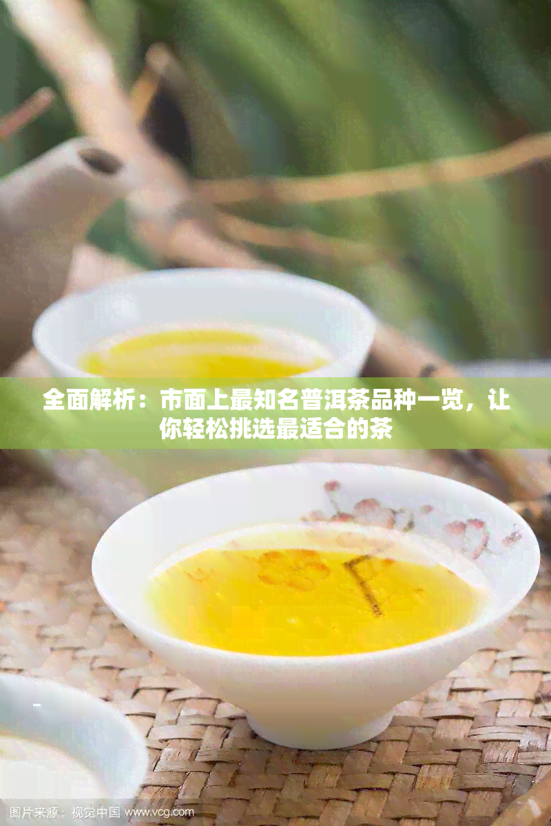 全面解析：市面上最知名普洱茶品种一览，让你轻松挑选最适合的茶