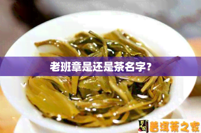 老班章是还是茶名字？