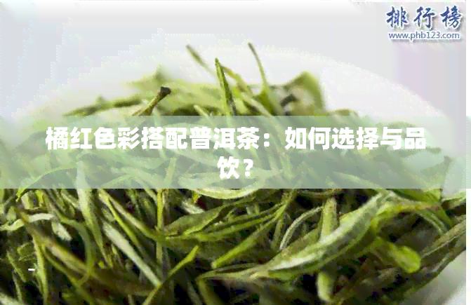 橘红色彩搭配普洱茶：如何选择与品饮？