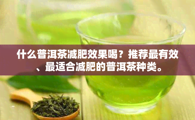 什么普洱茶减肥效果喝？推荐最有效、最适合减肥的普洱茶种类。