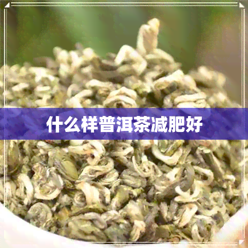 什么样普洱茶减肥好