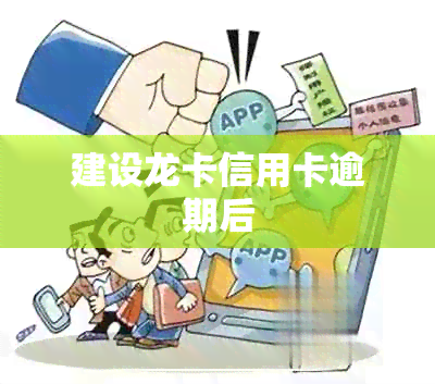 建设龙卡信用卡逾期后