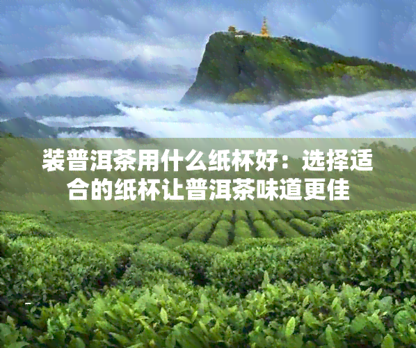 装普洱茶用什么纸杯好：选择适合的纸杯让普洱茶味道更佳