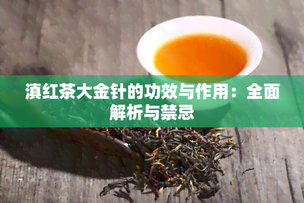 滇红茶大金针的功效与作用：全面解析与禁忌