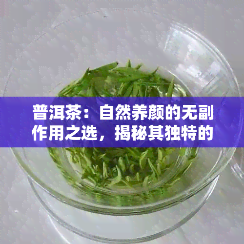 普洱茶：自然养颜的无副作用之选，揭秘其独特的美容祛斑效果