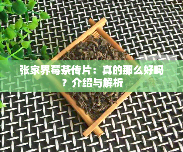 张家界莓茶传片：真的那么好吗？介绍与解析