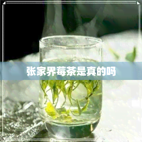 张家界莓茶是真的吗