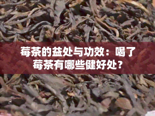 莓茶的益处与功效：喝了莓茶有哪些健好处？