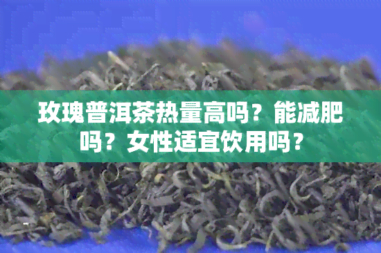 玫瑰普洱茶热量高吗？能减肥吗？女性适宜饮用吗？