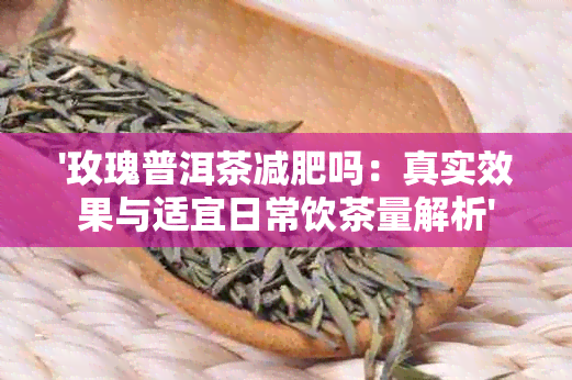 '玫瑰普洱茶减肥吗：真实效果与适宜日常饮茶量解析'