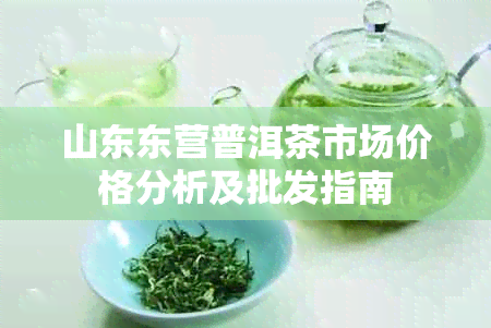 山东东营普洱茶市场价格分析及批发指南