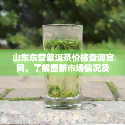 山东东营普洱茶价格查询官网，了解最新市场情况及。