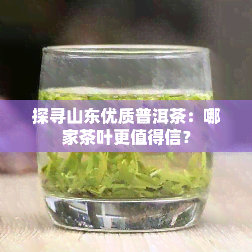 探寻山东优质普洱茶：哪家茶叶更值得信？