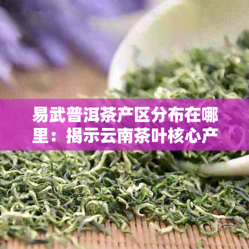 易武普洱茶产区分布在哪里：揭示云南茶叶核心产区