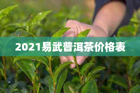 2021易武普洱茶价格表