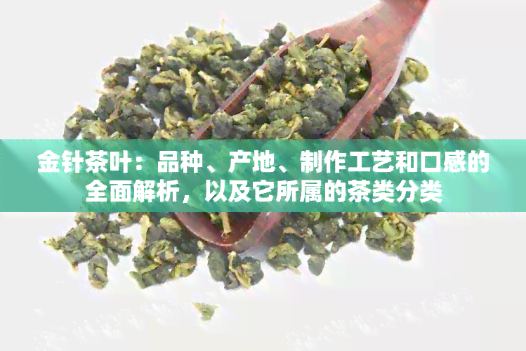 金针茶叶：品种、产地、制作工艺和口感的全面解析，以及它所属的茶类分类