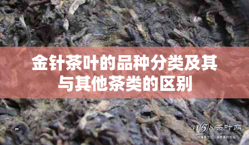 金针茶叶的品种分类及其与其他茶类的区别