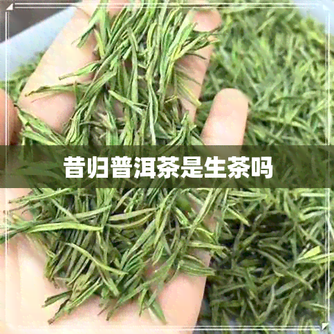 昔归普洱茶是生茶吗