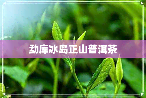 勐库冰岛正山普洱茶