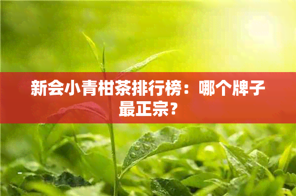 新会小青柑茶排行榜：哪个牌子最正宗？