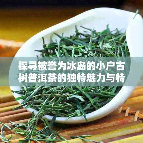 探寻被誉为冰岛的小户古树普洱茶的独特魅力与特点