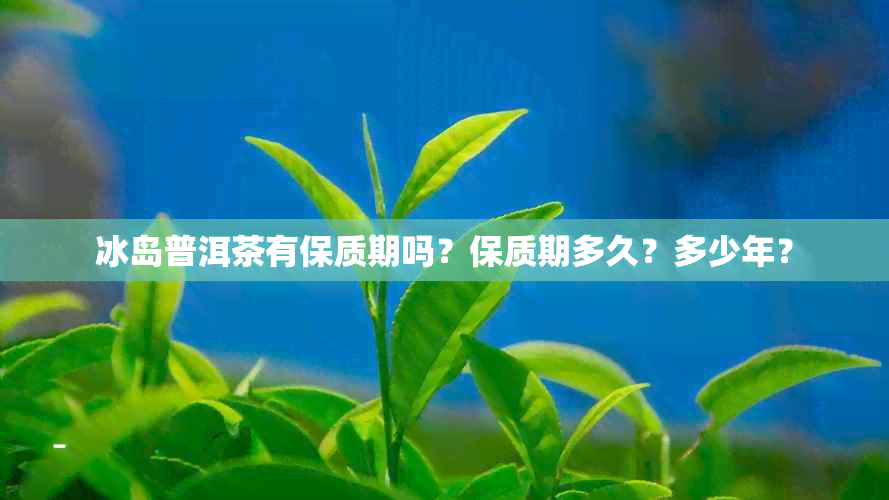 冰岛普洱茶有保质期吗？保质期多久？多少年？