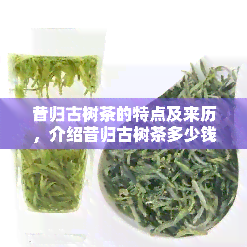 昔归古树茶的特点及来历，介绍昔归古树茶多少钱一斤，2023年价格预测。