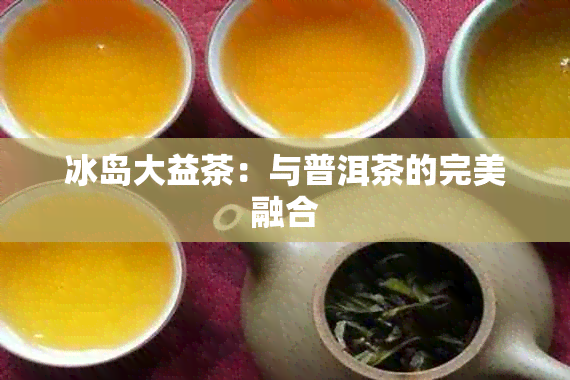 冰岛大益茶：与普洱茶的完美融合