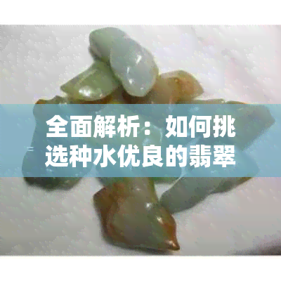 全面解析：如何挑选种水优良的翡翠？了解各种翡翠种水的特点与判断方法