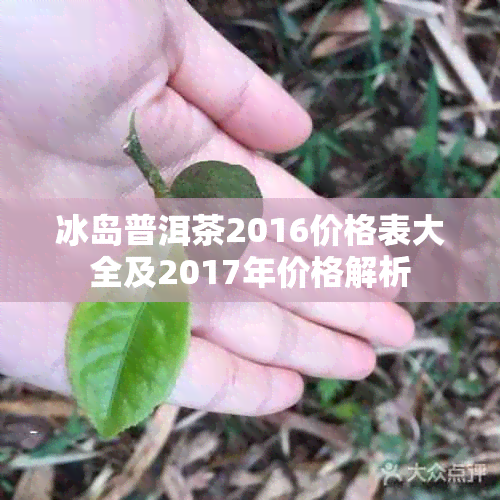 冰岛普洱茶2016价格表大全及2017年价格解析