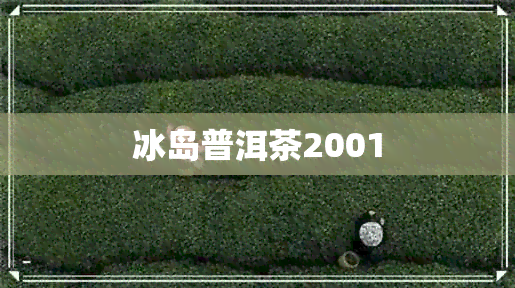 冰岛普洱茶2001