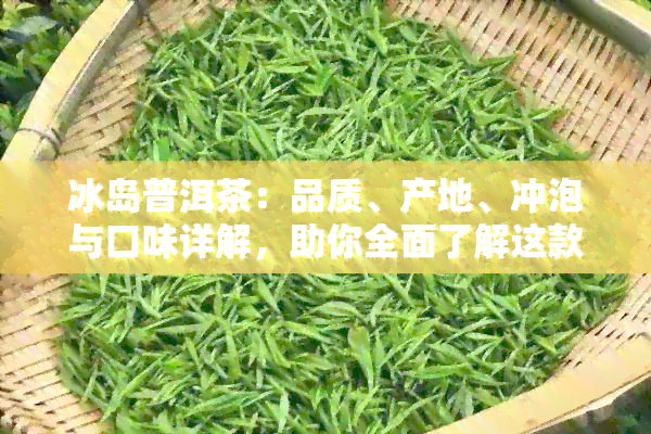 冰岛普洱茶：品质、产地、冲泡与口味详解，助你全面了解这款特色茶饮