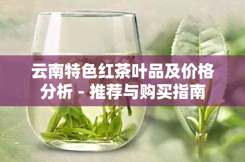 云南特色红茶叶品及价格分析 - 推荐与购买指南