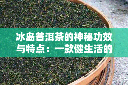 冰岛普洱茶的神秘功效与特点：一款健生活的佳品