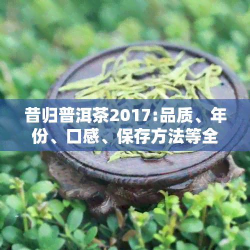 昔归普洱茶2017:品质、年份、口感、保存方法等全方位解析