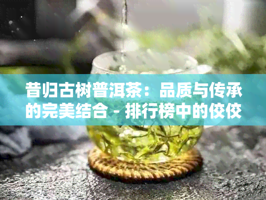 昔归古树普洱茶：品质与传承的完美结合 - 排行榜中的佼佼者