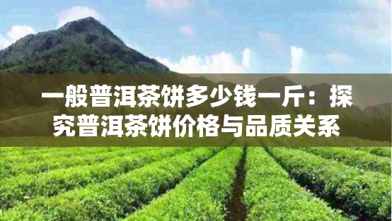 一般普洱茶饼多少钱一斤：探究普洱茶饼价格与品质关系