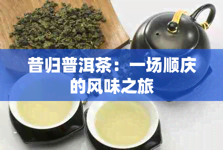 昔归普洱茶：一场顺庆的风味之旅