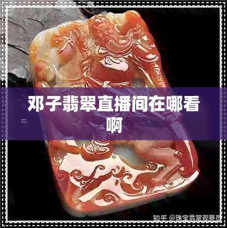 邓子翡翠直播间在哪看啊