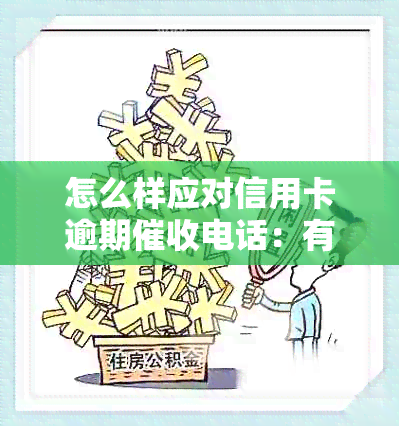 怎么样应对信用卡逾期电话：有效策略与注意事项